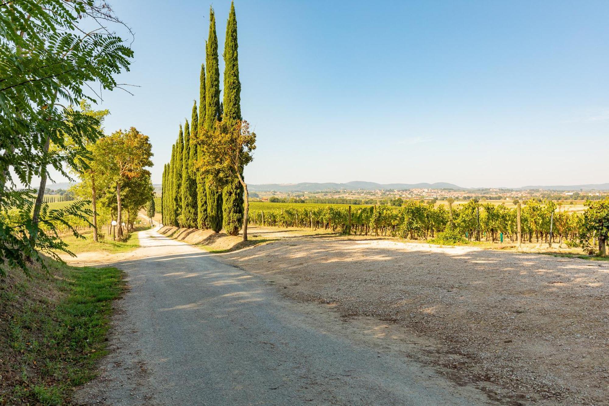 Appartamento Greppino Montepulciano Exterior photo