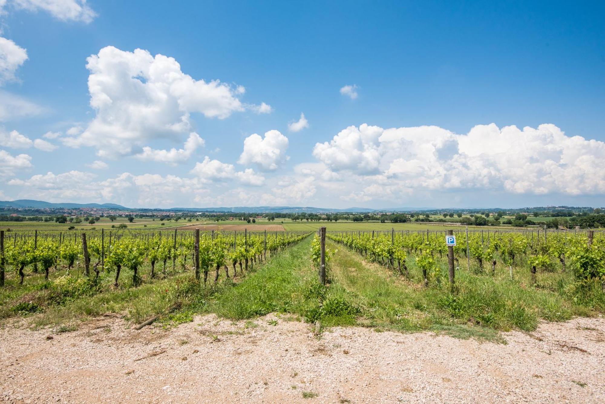 Appartamento Greppino Montepulciano Exterior photo